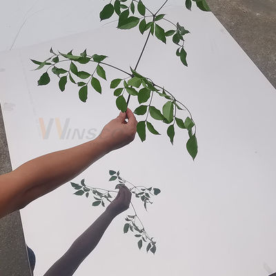 Le SUS superbe de finition 430 de feuille d'acier inoxydable de miroir de BA a laminé à froid 1500mm